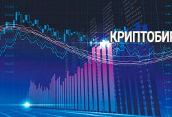 Общие критерии выбора криптовалютной биржи