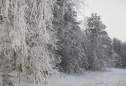 Куда съездить в свердловской области