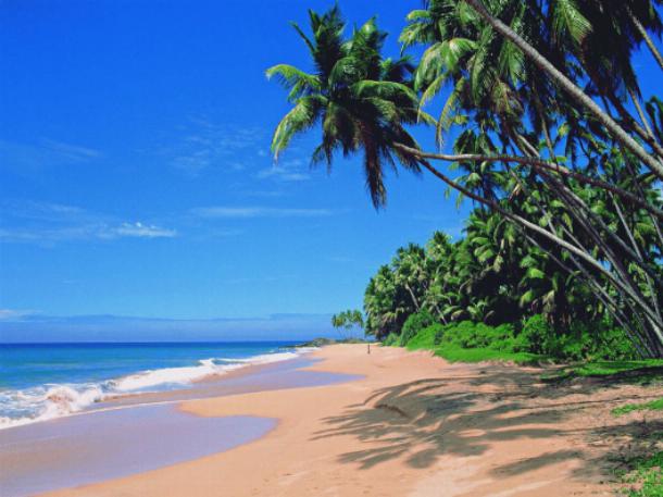 Самые красивые пляжи Гоа